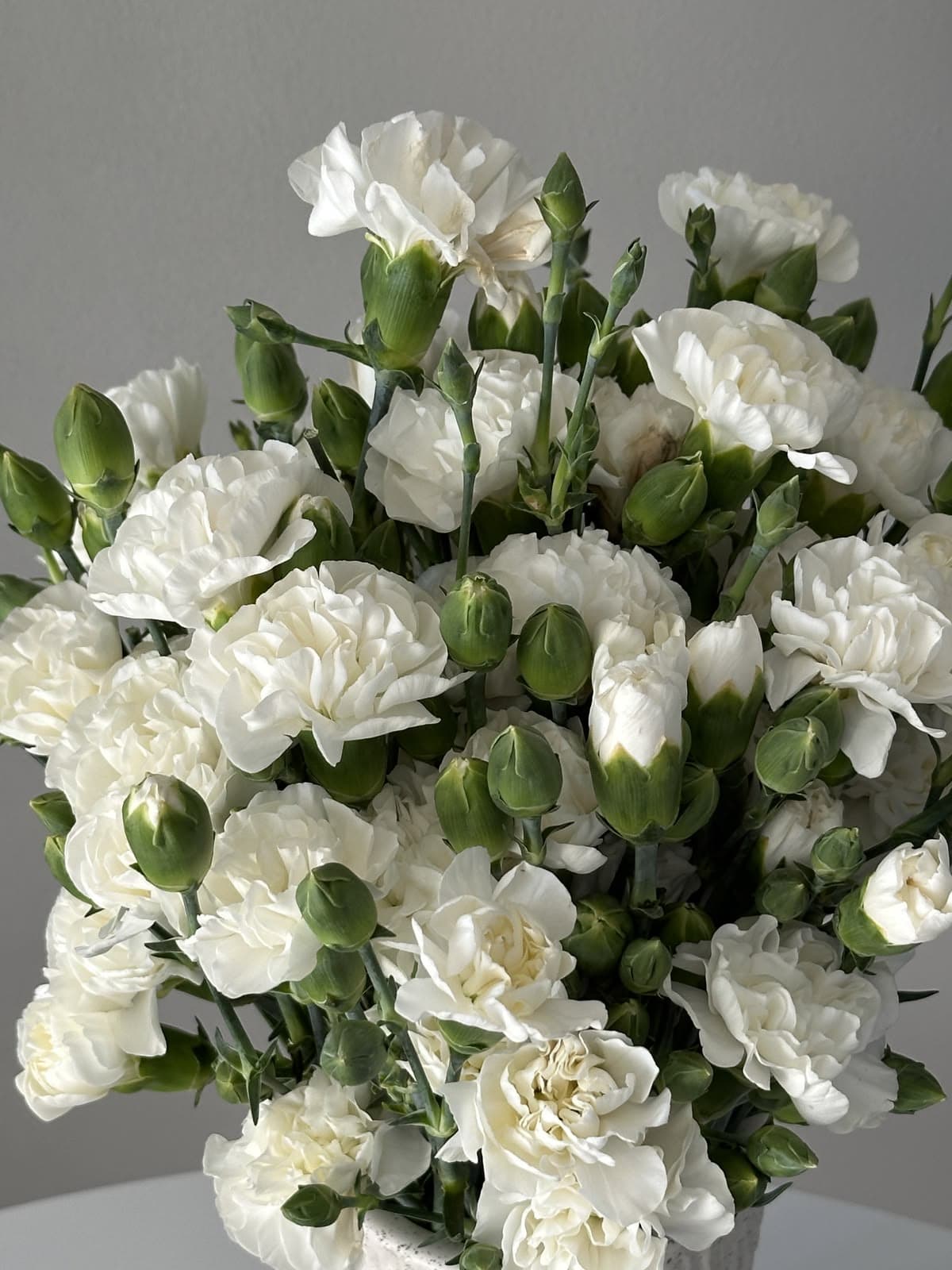White Carnations